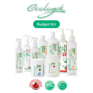 Budget Holiday Gift Kit